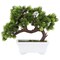 Artificial Bonsai Tree, Japanese Pine for Desktop, Garden, Home Decor, 10 x 9 In
